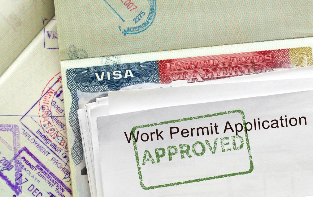 Work Permit voxvisas